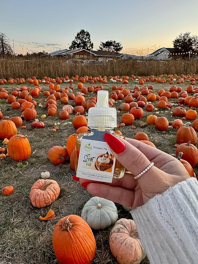 Scent Fill Pumpkin Pie Plug in Air Freshener 4 Scented Oil Refills