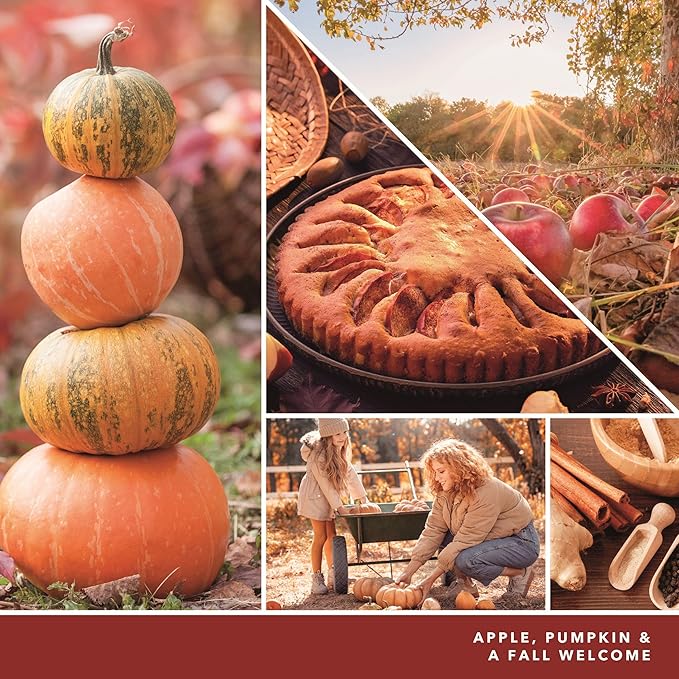 Yankee Candle ScentPlug Refill (2.5 Ounce (Pack of 4) Apple Pumpkin)