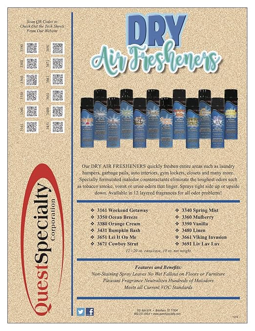 Spring Mist Dry Air Freshener 20 oz. can 1 Count