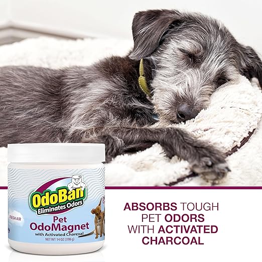 OdoBan OdoMagnet Pet Odor Eliminator with Activated Charcoal 14 Ounce 9-Pack Fresh Air Scent