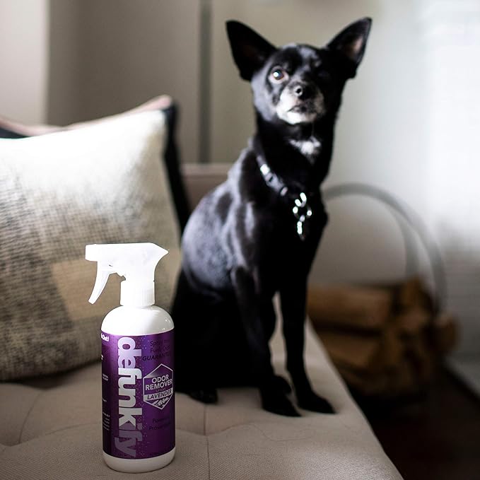 Get Stinky Bundle- 2Pk 'Lavender' Essential Oil Odor Eliminator Deodorizer &amp 2Pk Laundry Stain Remover Spot Treater Prewash Detergent Cleaning Spray for Fabric Sensitive Gear Activewear