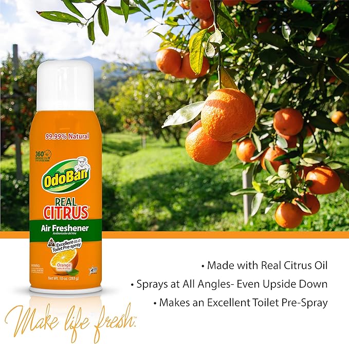 OdoBan Aroma Eliminator Set Made in the USA 10 Ounce 360-Degree Continuous Spray Natural Oil Real Citrus Air Freshener and 1 Gallon Multipurpose Disinfectant Cleaning Concentrate Orange Scent