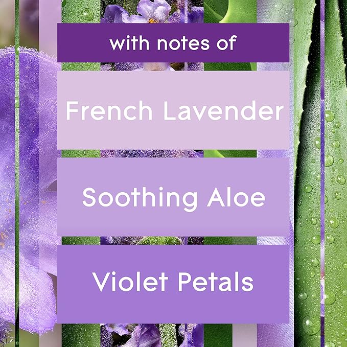 Glade PlugIns Refills Air Freshener Starter Kit Scented and Essential Oils for Home and Bathroom Tranquil Lavender &amp Aloe 4.02 Fl Oz 2 Warmers + 6 Refills
