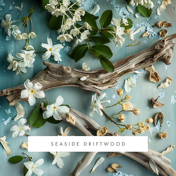ScentAir Whisper Home Monthly Plug-in Refill Fragrance Cartridge for Home and Office Seaside Driftwood