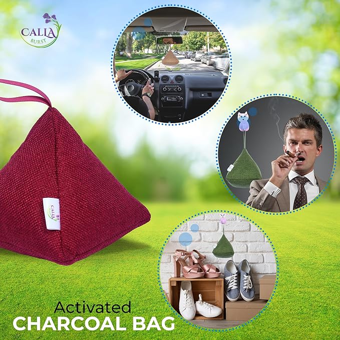 4 Pack Bamboo Charcoal Air Purifier Bags 200 Grams Each - Activated Charcoal Odor Absorber for Car Pets &amp Closet - Natural Freshener for Home Eco-Friendly &amp Reusable Charcoal Bags (Fall Colo