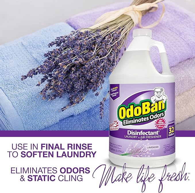 OdoBan Ready-to-Use Disinfectant and Odor Eliminator Made in the USA Lavender Scent Set of 2 32 oz Spray and 1 Gallon Concentrate