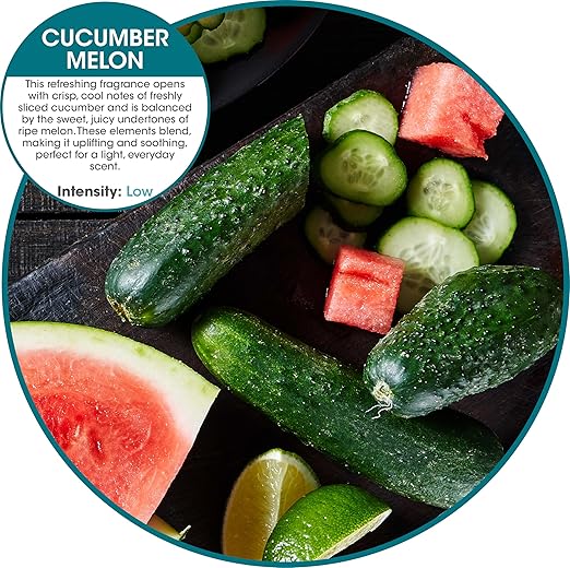 Fresh Products ourfresh 2 Air Freshener Replace Metered Aerosol with Dry Fragrance 30 Day Use Medium Sized Spaces Light Activated Battery Operated Batteries Included Cucumber Melon 8 pk