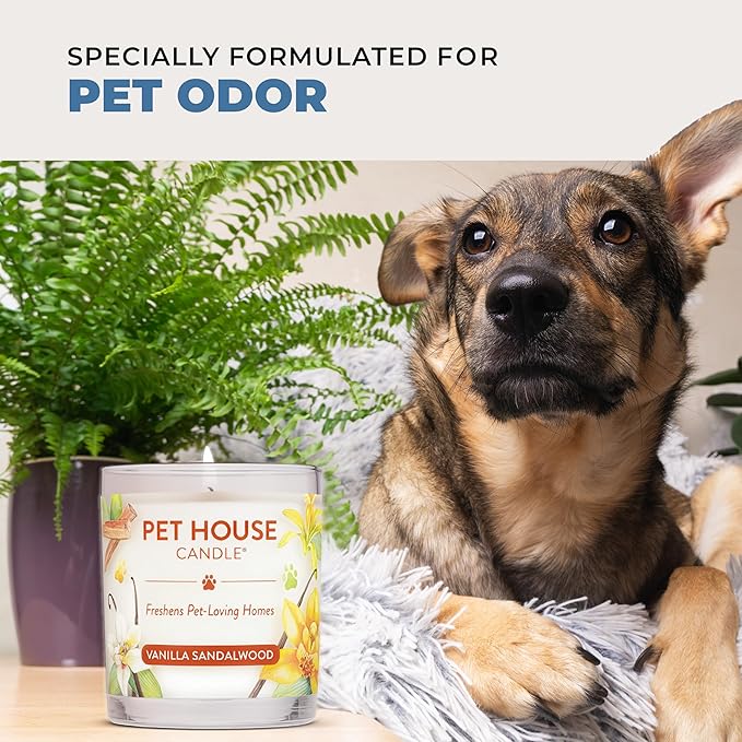 Pet House Candles Clean Long-Burning Scented Pet Friendly Candles Plant-Based 60 Hour Burn Time - Fresh Cut Roses 9 oz 2 Pack