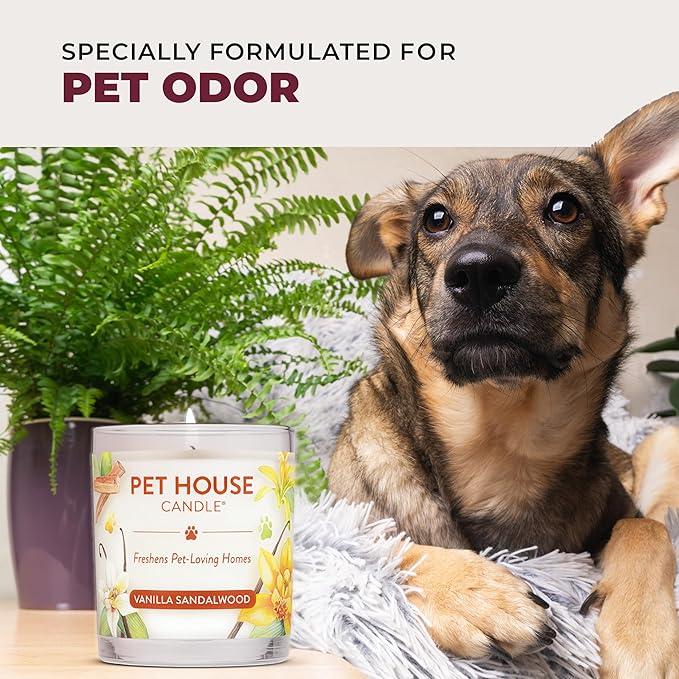 One Fur All Pet House Fall Candles Long Lasting Clean Burning Soy Wax Scented Candles for Pet Odor Autumn Harvest