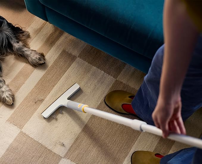 Joseph Joseph CleanTech 3pc Pet Hair Cleaning Tool Set Manual Rake for Carpet Upholstery &amp Furniture with Extension Pole