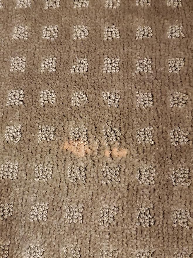 Bleachstain® Precision Carpet Spot Dye Kit | Bleach Stain Repair Kit | For Spots And Drips Smaller Than Pea Size | For medium beige gray tan