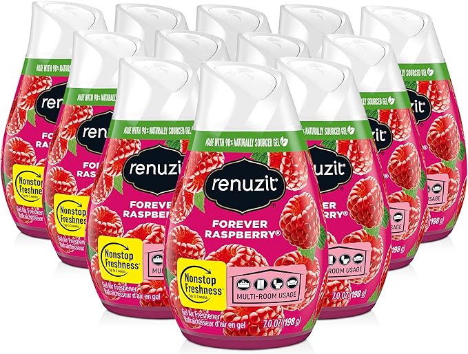 Renuzit Gel Air Freshener Forever Raspberry 12 Count