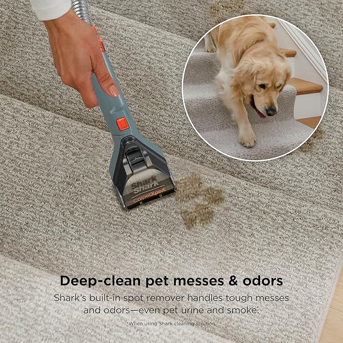 Shark CarpetXpert | Upright Carpet Area Rug &amp Upholstery Cleaner | Carpet Shampooer with Handheld Spot &amp Stain Eliminator | 3 Cleaning Tools | Slate Green | EX151