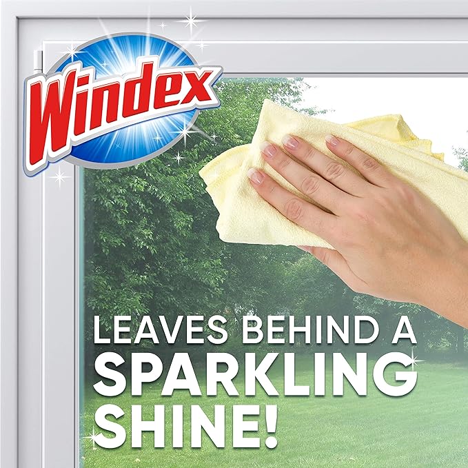SC Johnson Professional Windex Foaming Glass Cleaner Fresh 20 oz Aerosol Spray 6/Carton (333813)