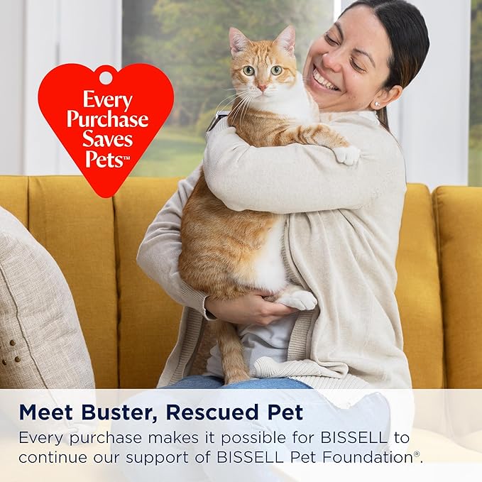 BISSELL® Little Green® Proheat® Pet Portable Deep Cleaner with Heated Cleaning Technology Self-Cleaning Tough Stain Tool and Pet Pro Oxy Triple Action Formula Included 3969