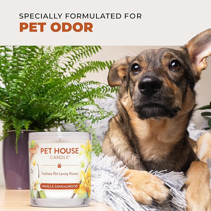 One Fur All Pet House Fall Candles Long Lasting Clean Burning Soy Wax Scented Candles for Pet Odor Falling Leaves 2 Pack