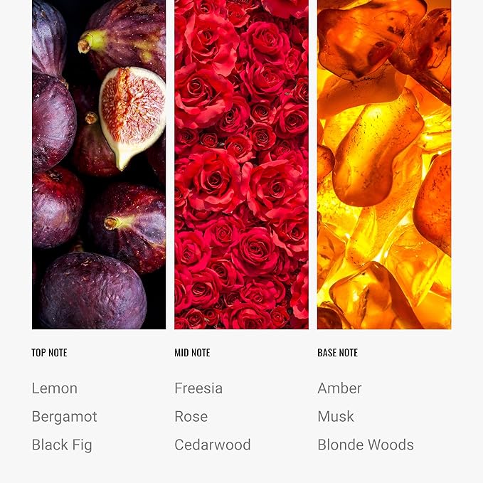 Hotel Collection Diffuser Oil - Black Velvet - Aromatherapy Essential Fragrance Oil - Blonde Woods Rose and Black Fig - 500ML 16.9 Fl oz