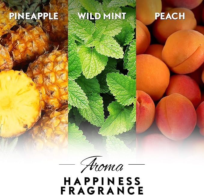 Air Wick Essential Mist Refill 3 ct Happiness Essential Oils Diffuser Air Freshener Aroma