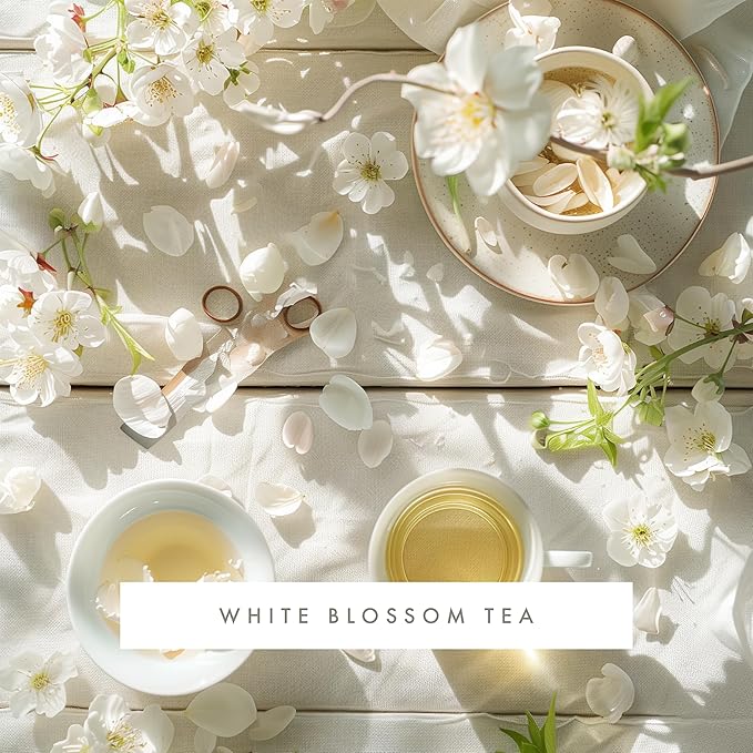 ScentAir Whisper Home Monthly Plug-in Refill Fragrance Cartridge for Home and Office White Blossom Tea