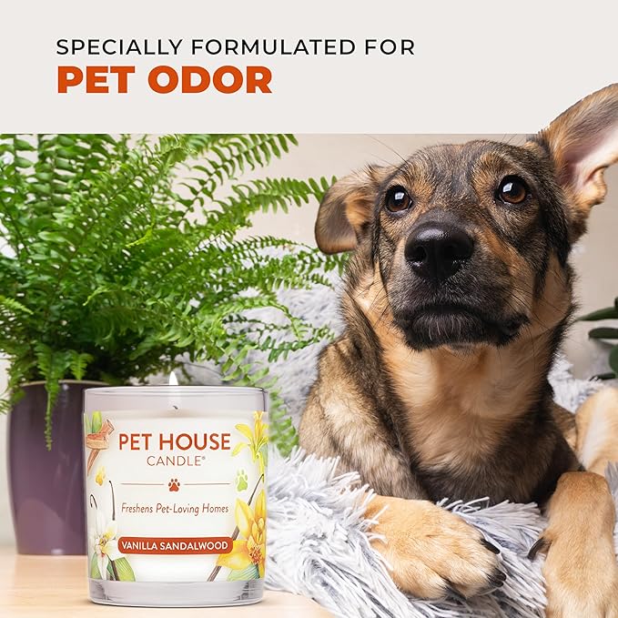 Pet House Pet Odor Candle Plant Based Scented Candle Clean Burning Long Lasting for Home Evergreen Forest