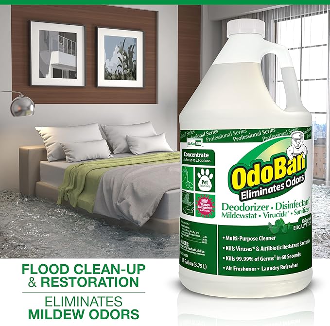OdoBan Professional Disinfectant and Odor Eliminator Concentrate 6-Pack 1 Gallon Each Original Eucalyptus Scent