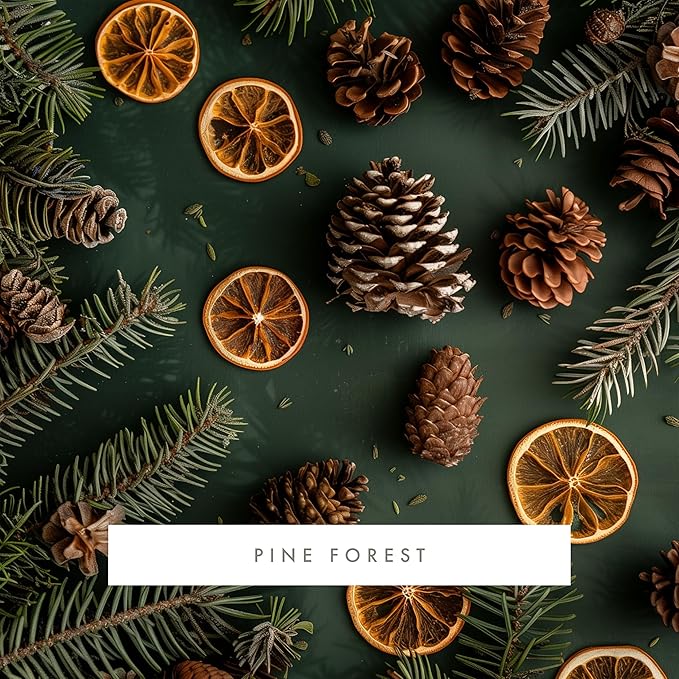 ScentAir Whisper Home Monthly Plug-in Refill Fragrance Cartridge for Home and Office Pine Forest