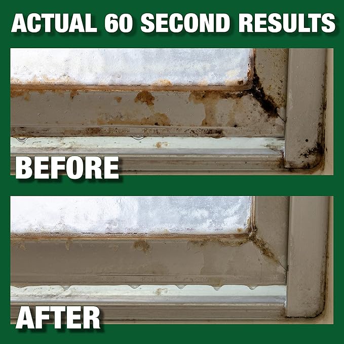 Mold Armor Rapid Clean Remediation 1 Gallon Kills Cleans &amp Prevents Mold &amp Mildew