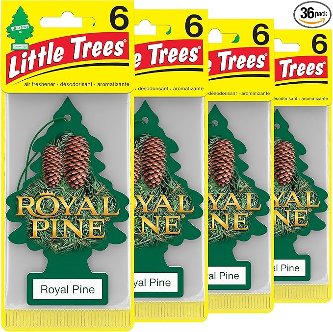LITTLE TREES Air Fresheners Car Air Freshener. Hanging Tree Provides Long Lasting Scent for Auto or Home. Royal Pine 24 Air Fresheners (Pack of 6)