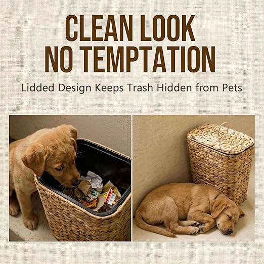2.6 Gallon Wicker Trash Can with Lid Handwoven Water Hyacinth Wastebasket with Removable Plastic Inner Bin Small Decorative Rattan Trash Can for Bathroom Bedroom Office Kitchen