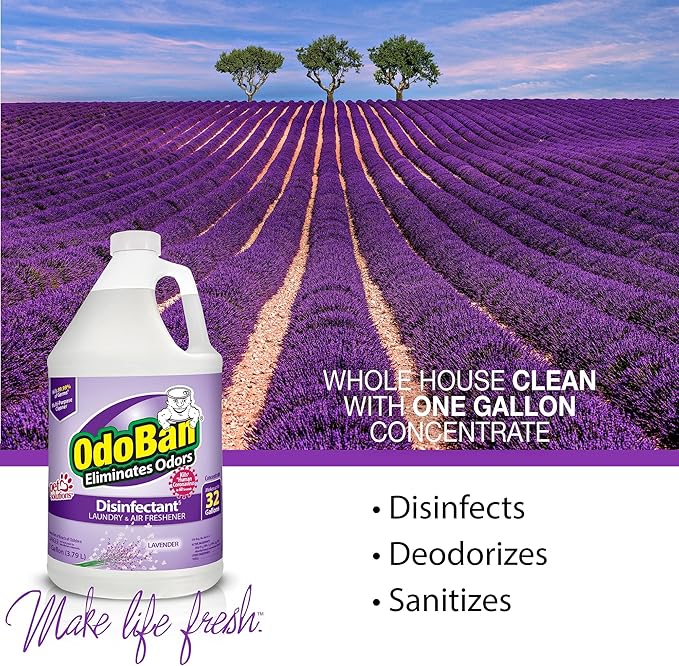 OdoBan Disinfectant Concentrate and Odor Eliminator Made in the USA Original Eucalyptus Lavender and Cotton Breeze Scents 3 Gallons