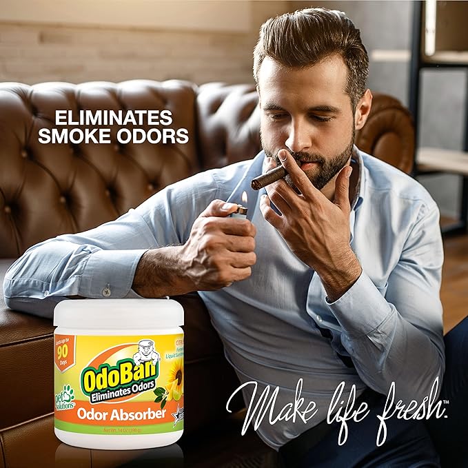 OdoBan Solid Odor Absorber Eliminator for Home and Small Spaces Citrus Scent 14 Ounces Each 6-Pack