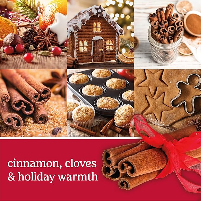 Yankee Candle ScentPlug Refill (2.5 Ounce (Pack of 4) Sparkling Cinnamon)