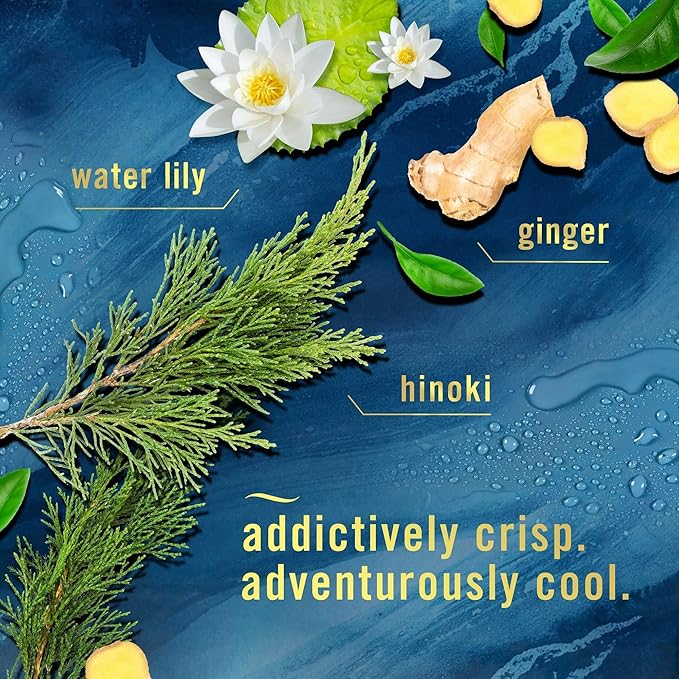 Febr+eze Air Freshener Bundle Ocean Spray 8.8oz 2 Count + Lavender Closet Odor Absorbing Solid 8oz
