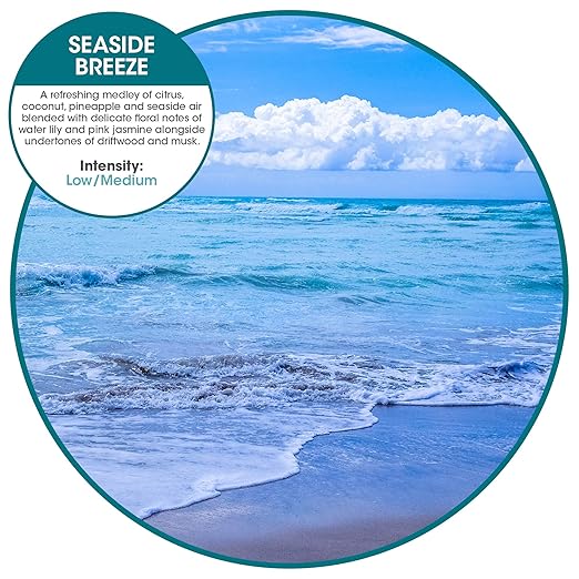 Fresh Products ourfresh 2 Air Freshener Replace Metered Aerosol with Dry Fragrance 30 Day Use Medium Sized Spaces Light Activated Battery Operated Batteries Included Seaside Breeze 8 pk