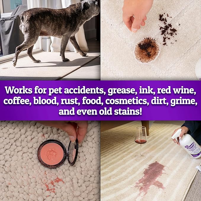 FOLEX Professional Carpet Spot Remover 34oz