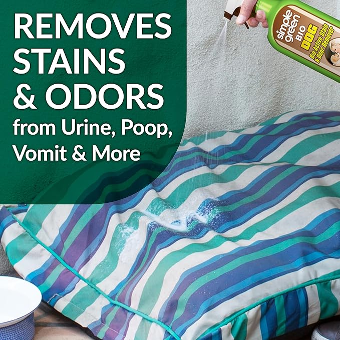 Simple Green Bio Dog Active Stain &amp Odor Remover - Enzyme Cleaner &amp Stain Remover for Carpet Rugs &amp Fabric – eliminates Urine Odor (32 oz Spray &amp 1 gal Refill)