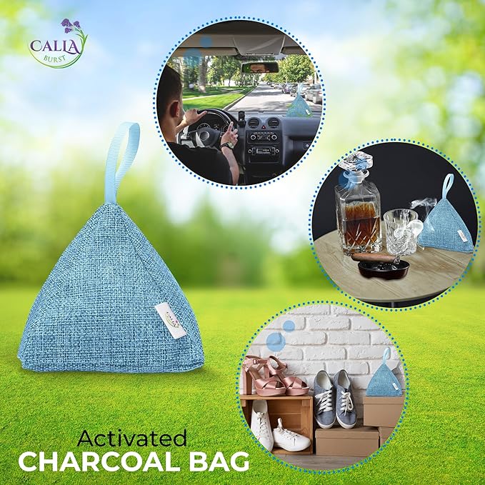4 Pack Bamboo Charcoal Air Purifier Bags 200 Grams Each - Activated Charcoal Odor Absorber for Car Pets &amp Closet - Natural Freshener for Home Eco-Friendly &amp Reusable Charcoal Bags (Designer