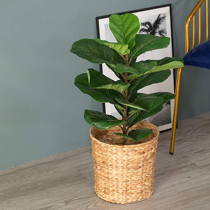 Vintiquewise Natural Water Hyacinth Round Waste Basket - for Bathrooms Bedrooms or Offices