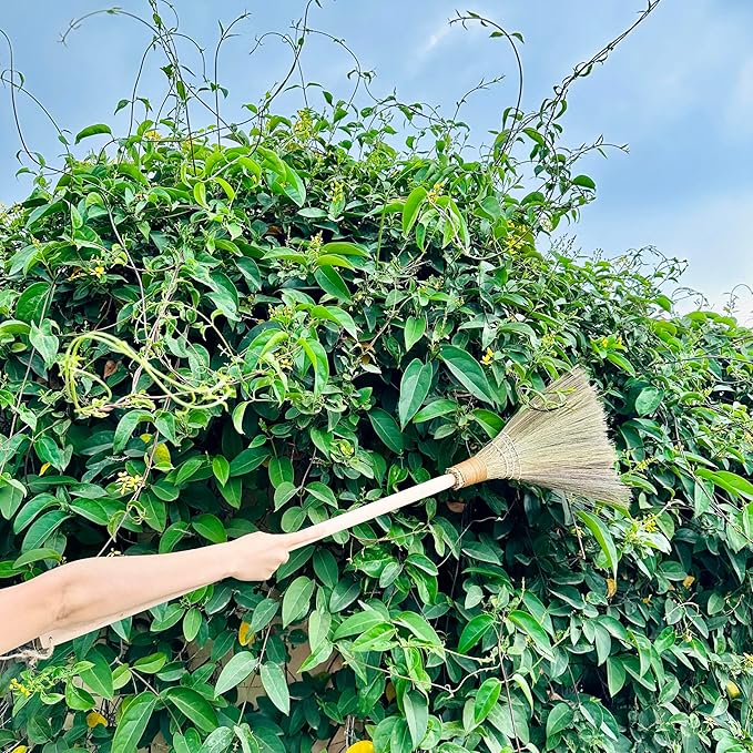 TTS Handmade Whisk Sweeping Broom - Vietnamese Straw Soft Broom for Indoor or Outdoor Sweeping - 9.45 Width 39.37 Length