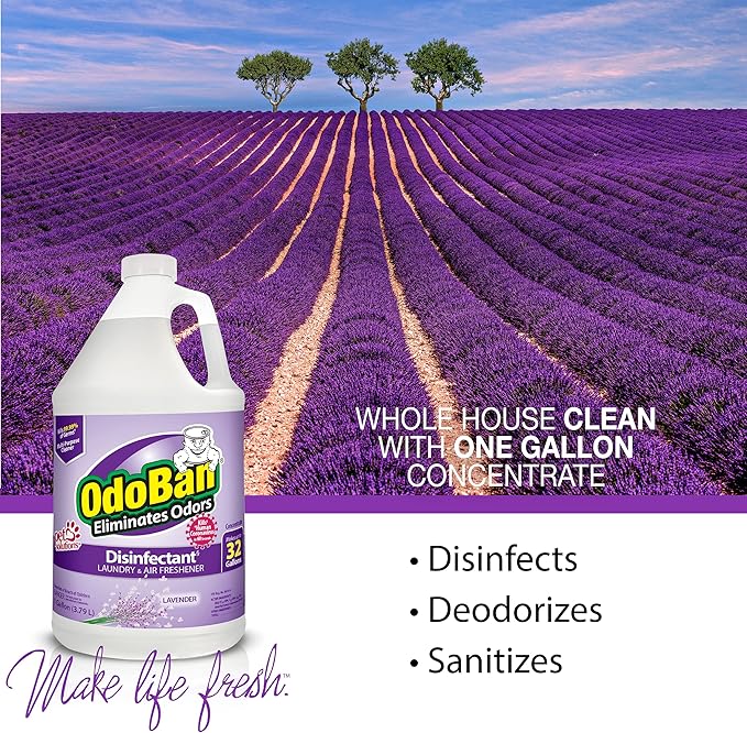 OdoBan Ready-to-Use Disinfectant and Odor Eliminator Made in the USA Lavender Scent Set of 2 32 oz Spray and 1 Gallon Concentrate
